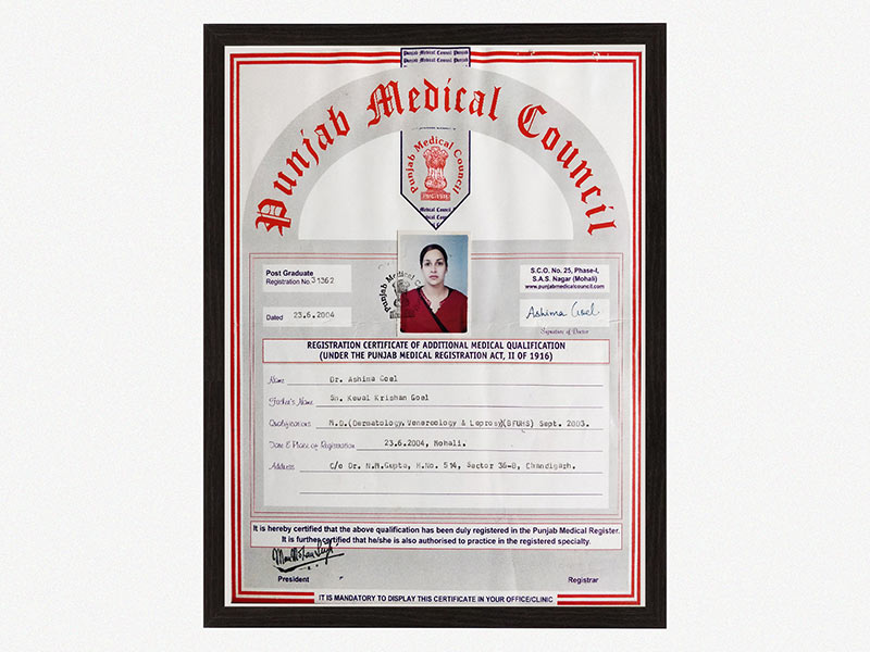Punjab Medical Council