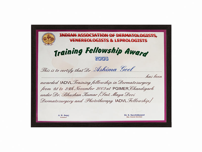 Training Followship Award 2003
